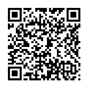 为何教宗陛下会选择在此时确定陈长生的继承者之名二维码生成