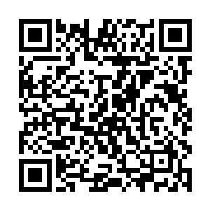 为何方方面面都和厉灵海还有武英奇的探索经验不同二维码生成