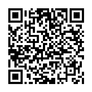 为何要在这些冥使的元灵中一开始就种下恶灵果二维码生成