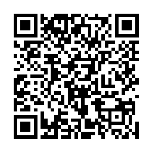 为何这一次面对自己的怒火责骂竟是没有半丝不虞与反驳二维码生成