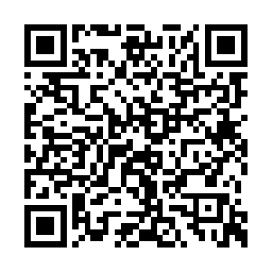 为何黑炭和矮冬瓜见到他仿佛见到了老朋友一样二维码生成