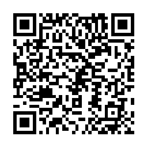 为啥刀疤最近总是有点怪怪的感觉――合着她是埋怨自己二维码生成