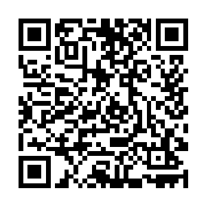 为夫如今在五行合纵之术辅助下使出的法术威力极大二维码生成