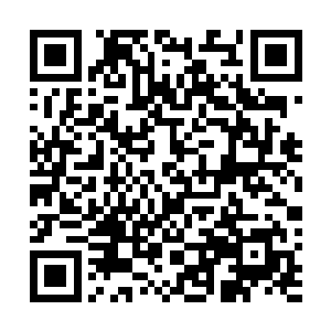 为她的每一项投资和收购计划提供可行性分析和关键数据二维码生成