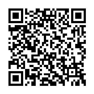 为将来能够接替父亲的总统之位而一步步的努力二维码生成