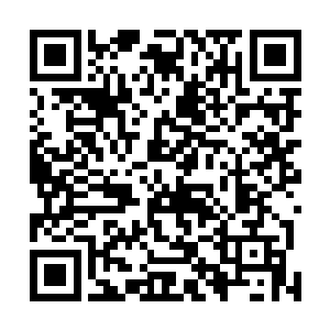 为师已用酬劳替他在天星宗的虚空商船中安排了头等舱室二维码生成