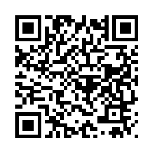 为师这次总共炼制出了一百一十粒二维码生成