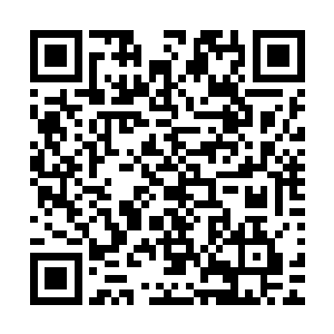 为撕开这笼罩也北伐大军头顶上层层乌云而进行的每一场苦斗二维码生成