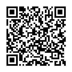 为数不多的几次碰面这个男人总是一副清清淡淡二维码生成