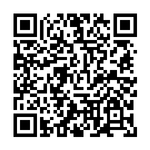 为数极多的狗正好奇地透过栅栏仰头张望着他们二维码生成