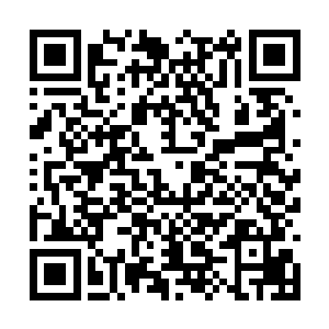 为日族族长和月族族长护法的那两个修士目光呆滞二维码生成