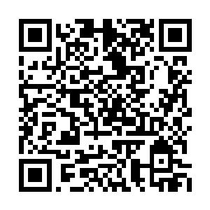 为栖霞界又出现一位可与自己对话的强者而高兴二维码生成