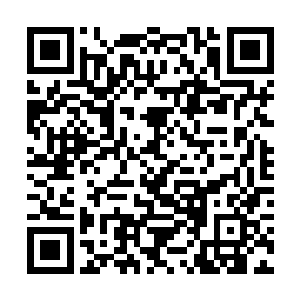 为正在武道岔口上犯迷糊的徐凤年指明一条羊肠小道二维码生成