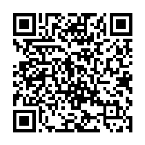 为此他们还特意叫人过来印证了下金在珉的中文能力二维码生成