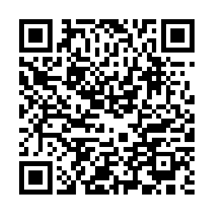 为此承平帝在朝会上又将负责此案的大臣们骂了个狗血淋头二维码生成