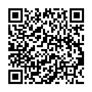 为此洪涛不得不把自己用破绒裤改成的围脖给她戴上二维码生成