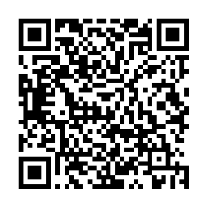 为母亲以及尚未成年的弟弟一家购买了一栋足够宽敞的公寓二维码生成