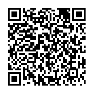 为毛一路上感觉到的原生物数量似乎连这些地下通道的十分之一都没有二维码生成