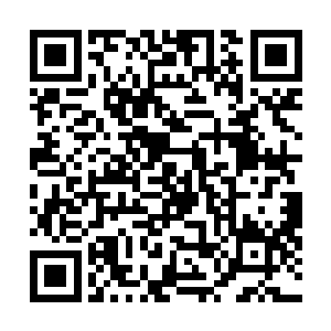 为混小子生儿育女……为有天大福气的小子同神武帝抗辩二维码生成