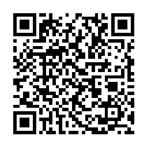 为的就是明天一大早就将北冥世家所有人都给除掉二维码生成
