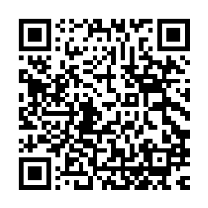 为的就是木家出了一个资质比自己家屹星还要好的双灵根的孩子二维码生成
