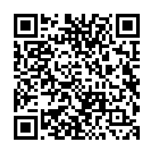 为的就是能让你通过解决鬼庐残余力量这件事好好的成长一下二维码生成