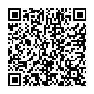 为自己而来的单娆却要继续在隔离楼里的过着不自由且胆战心惊的日子二维码生成
