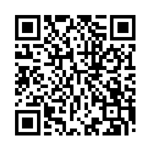 为自己量身打造一个新的本命算器的结构二维码生成