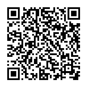 为这一片千万平方公里的大地带来了一片国防军士兵很少见到的冰天雪地二维码生成