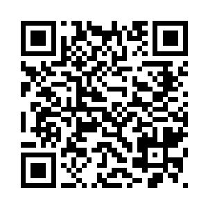 为那些上层社会的人专门定制服装二维码生成
