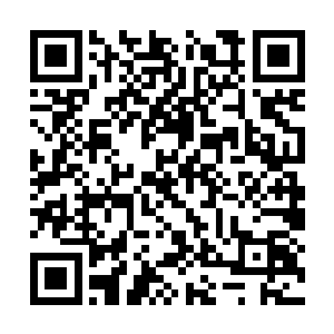 为首的蓝衣老者目光随即也定格在了龙傲天的身上二维码生成