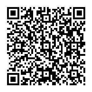 为首的那个深渊魔族瞥了一眼龙傲天面前那恐怖的掌印也已经呗拍成肉酱的玄龙之后二维码生成