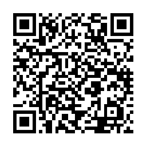 为首的那名男子阴邪冷峻的容颜之上满是狰狞的愤怒二维码生成