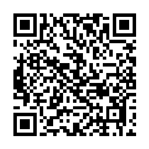 为首的黑衣人脸上的表情顿时也变得无比的狰狞起来二维码生成