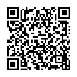 主人一点也不知道好好的保护一下别人家的隐私啊二维码生成