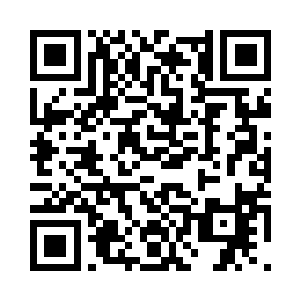 主人就是我们闪电鸟一族的再世父母二维码生成