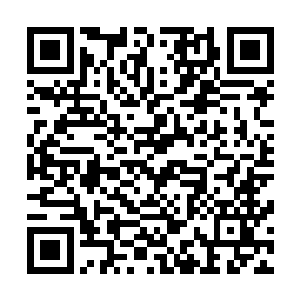 主人让我把这个东西交给陛下以表示我们云中国的归降之心二维码生成