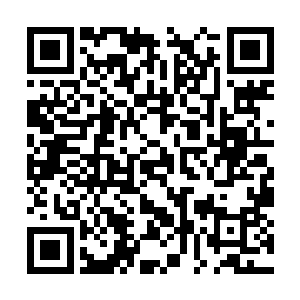 主公却想若是司马仲达教唆波斯军在金城大开杀戒二维码生成
