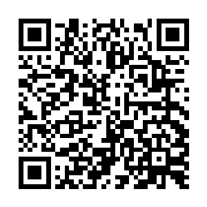 主公却想这些诸侯皆盼能够趁如今天下无主的乱世二维码生成