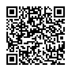 主动上前去把那十几人口中的魔核全部都装进这个口袋中二维码生成