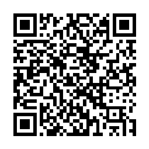 主动帮它处理掉了多如牛毛的触手和麻烦的进食过程呢二维码生成