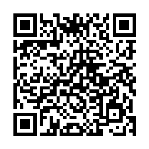 主宰神兵每一柄都足可以让半步主宰大三重强者争破头皮二维码生成