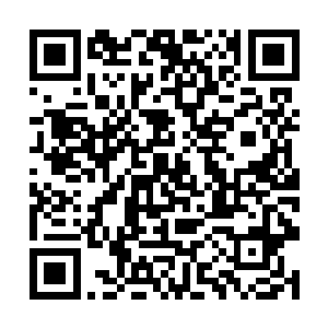 主宰级别强者能在整个斜月至尊域拥有如此大的名声二维码生成