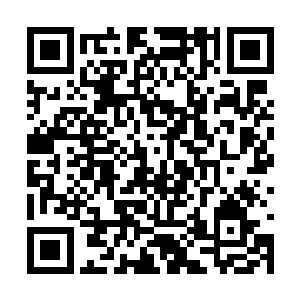 主宰者配合着将混沌域界内的灵气引入了葬神之地二维码生成