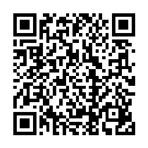 主席狠狠的一个耳光扇在古月原本就已经有些浮肿的脸上二维码生成
