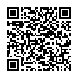 主战场是自己带领的黑暗卫士硬生生拼出来的一块二维码生成