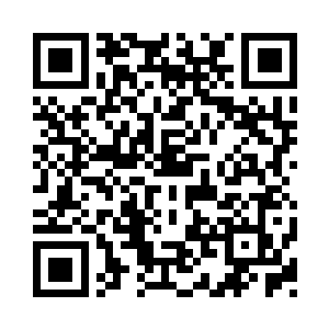 主持人为了活络气氛走下台采访各位大师二维码生成