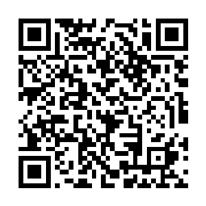 主持人也是激动的看着盒子里安静的躺着的美颜丹二维码生成