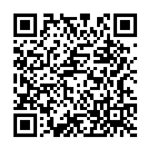 主持人又把白绢被造纸厂副厂长陷害的事情了出来二维码生成