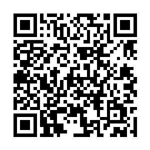 主控晶脑和法宝单元上瞬间出现了一层薄薄的霜花二维码生成